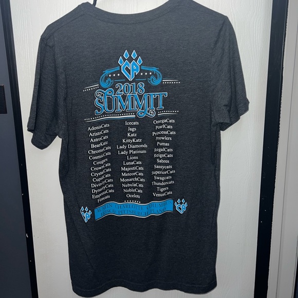 Cheer Athletics Summit 2018 Shirt - Picture 2 of 2